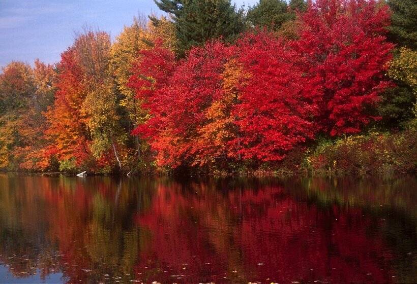مبيت وإفطار The Manor On Golden Pond