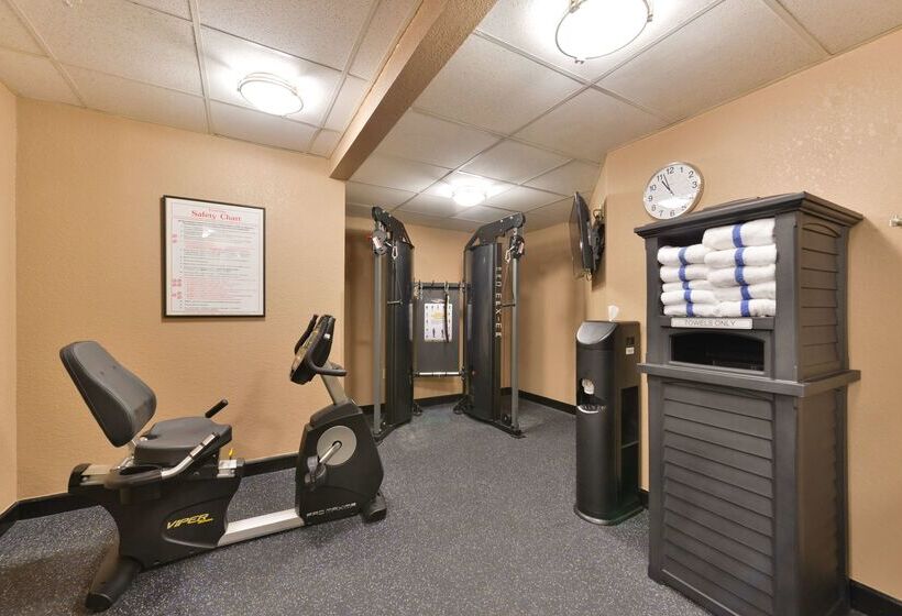 هتل Best Western Plus Peak Vista Inn & Suites