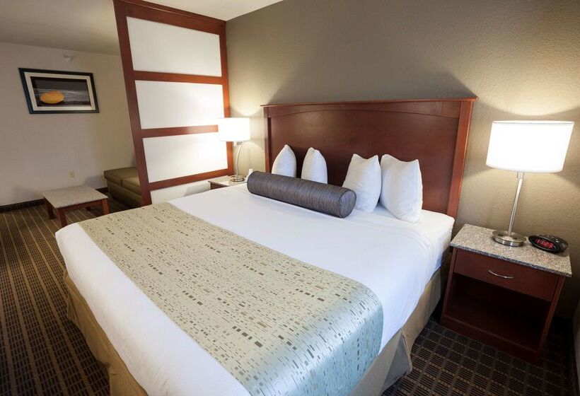 هتل Best Western Plus Peak Vista Inn & Suites