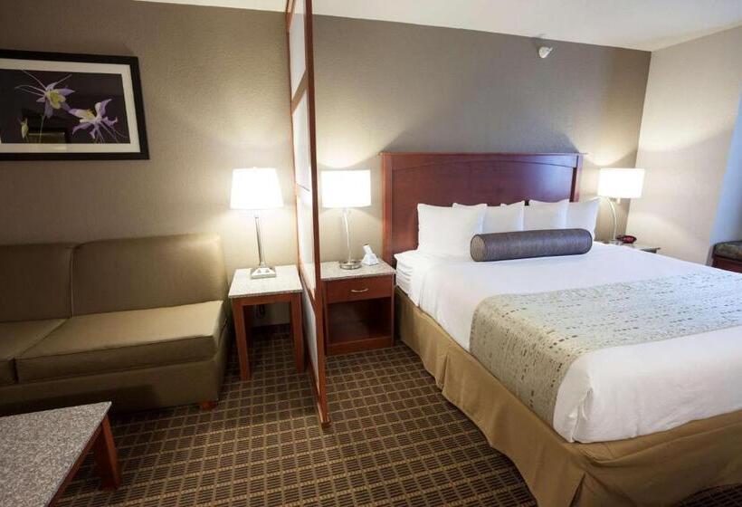 هتل Best Western Plus Peak Vista Inn & Suites