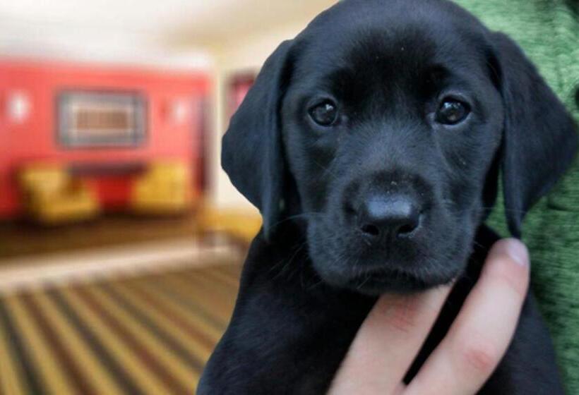 בית מלון כפרי Extended Stay America Suites  Indianapolis  West 86th St