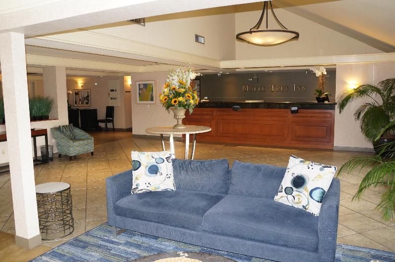 هتل Maple Tree Inn