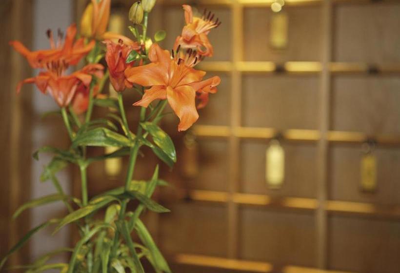 هتل Pension Grissemann