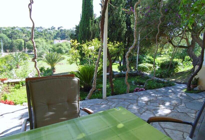 پانسیون Guesthouse Kanjuo