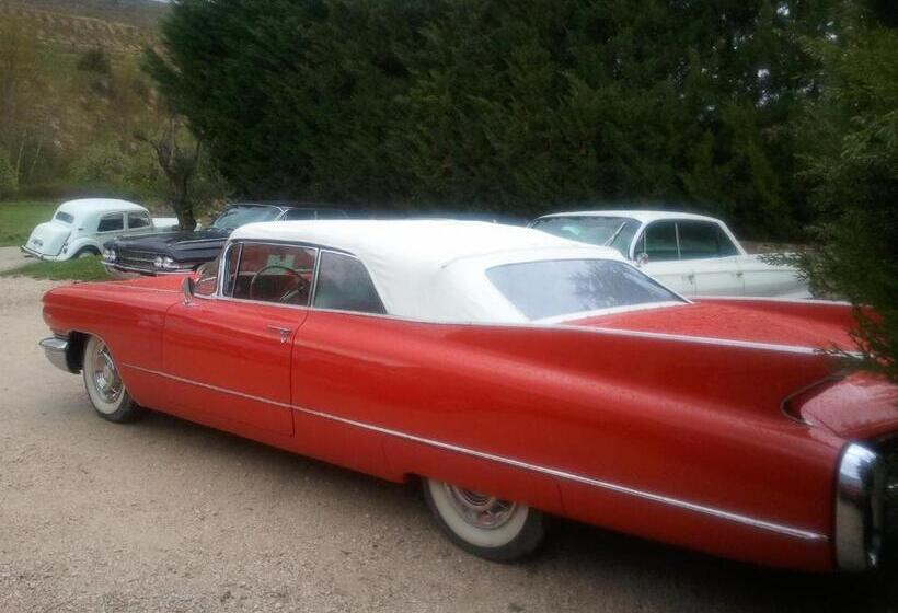 בית מלון כפרי Rural Los Cerezos De Yanguas