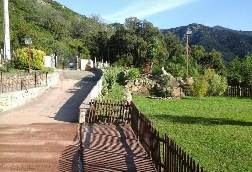 ホテル Mobile Home A Saliva