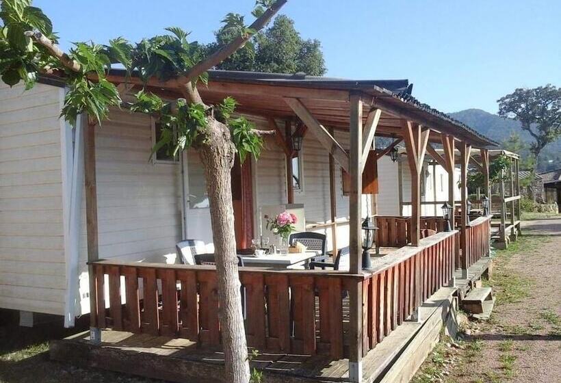 ホテル Mobile Home A Saliva