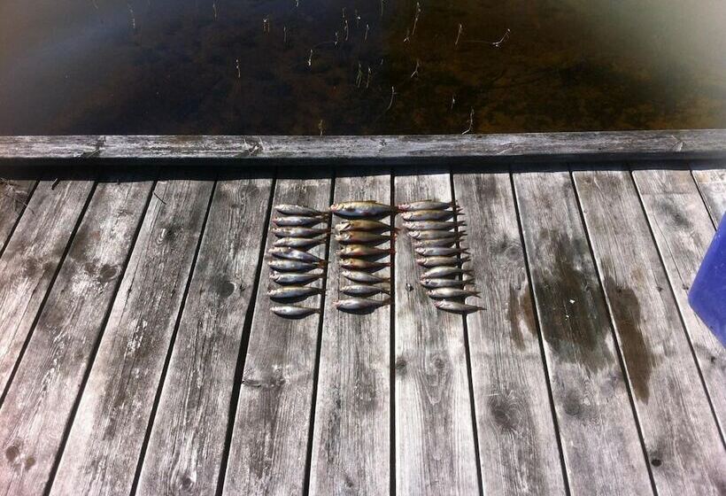 فندق صغير Ivögården Mat & Vingård