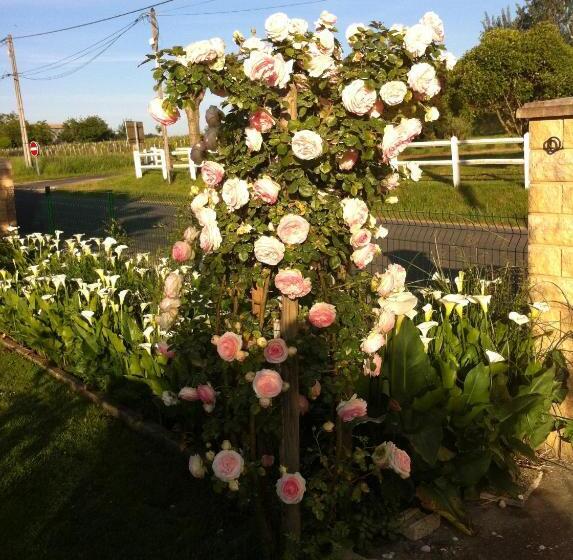 펜션 Les Arums De Fondeminjean