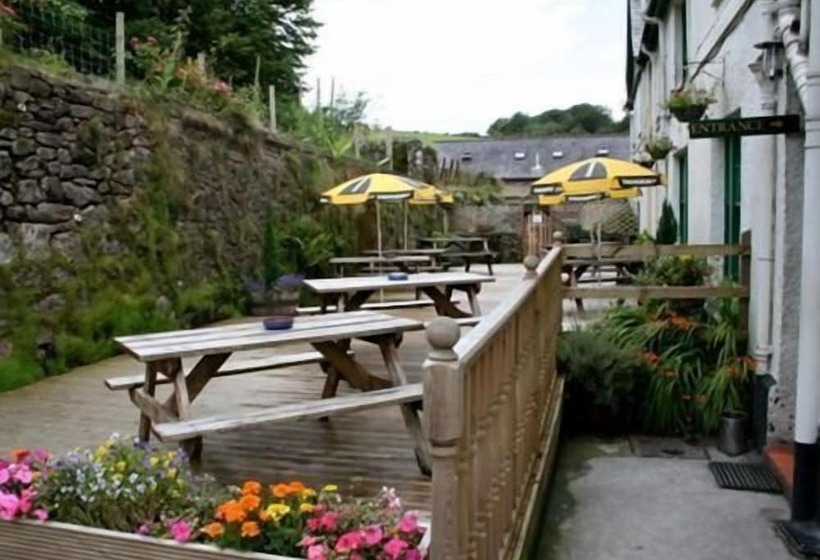 The Forest Inn