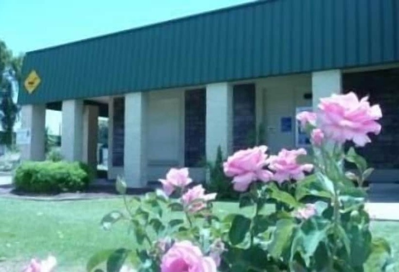 Bordertown Motel