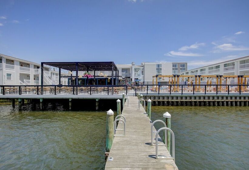 فندق Beachwalk At Sea Bright