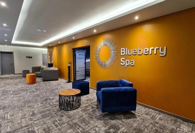 فندق Blueberry Hill