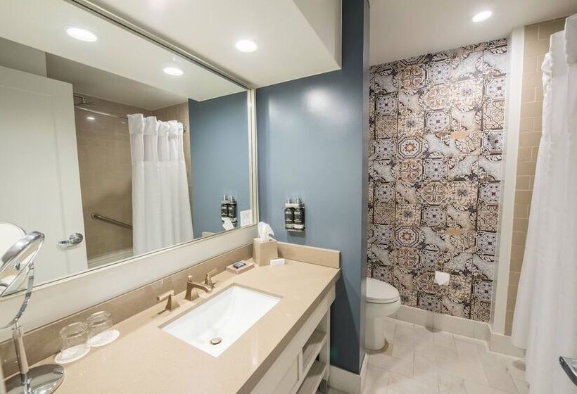 فندق Colonnade Coral Gables, Autograph Collection