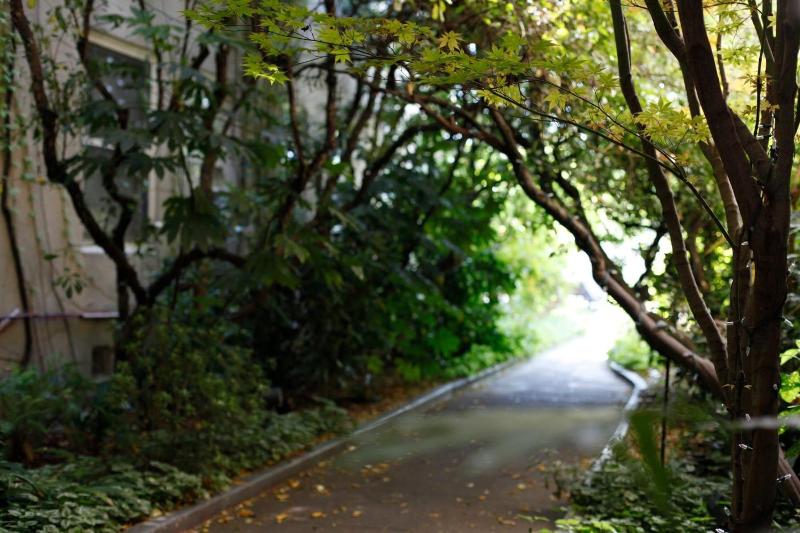 Mount View Hotel & Spa