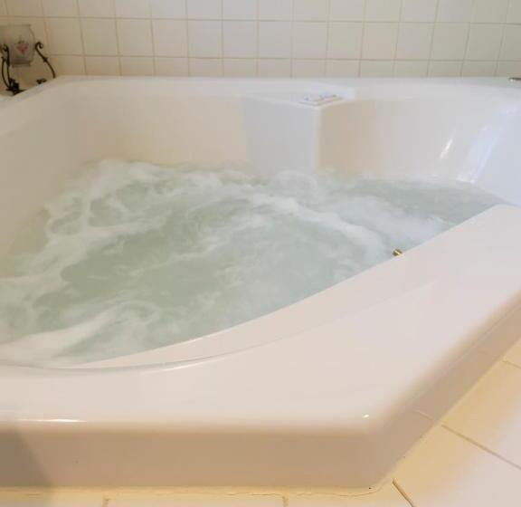 酒店 The Oaks Victorian Inn