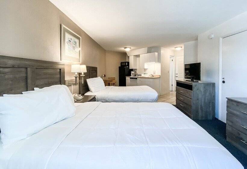 모텔 Ocean Court Beachfront
