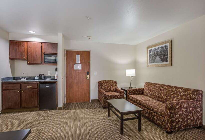 מוטל Quality Inn & Suites Meridian   West Boise