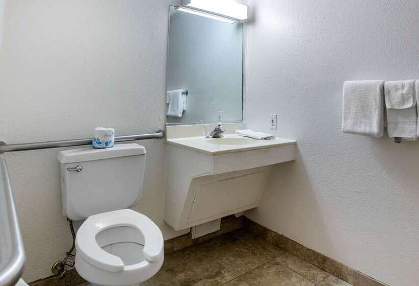 فندق على الطريق Rodeway Inn Auburn Hills   Detroit