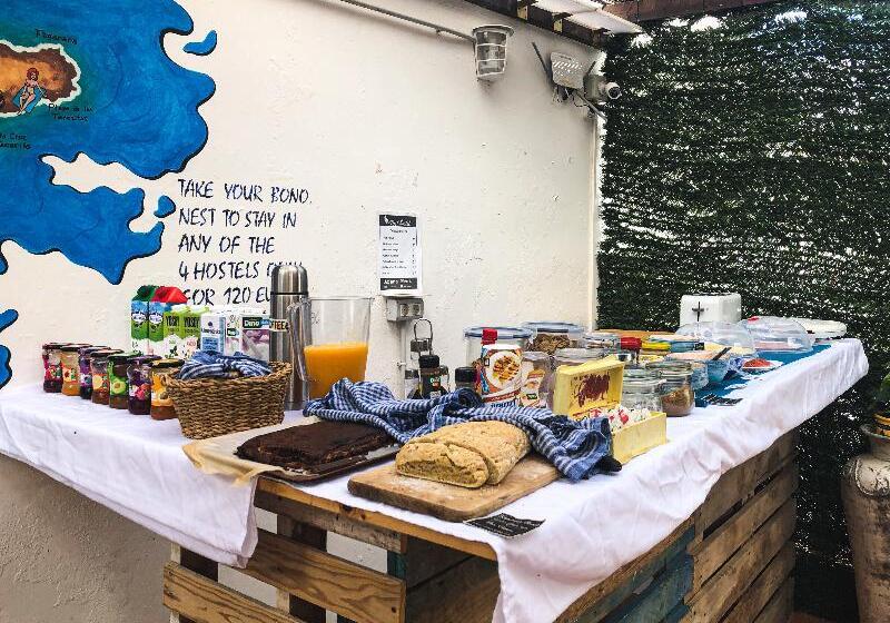 Arena Nest Hostel