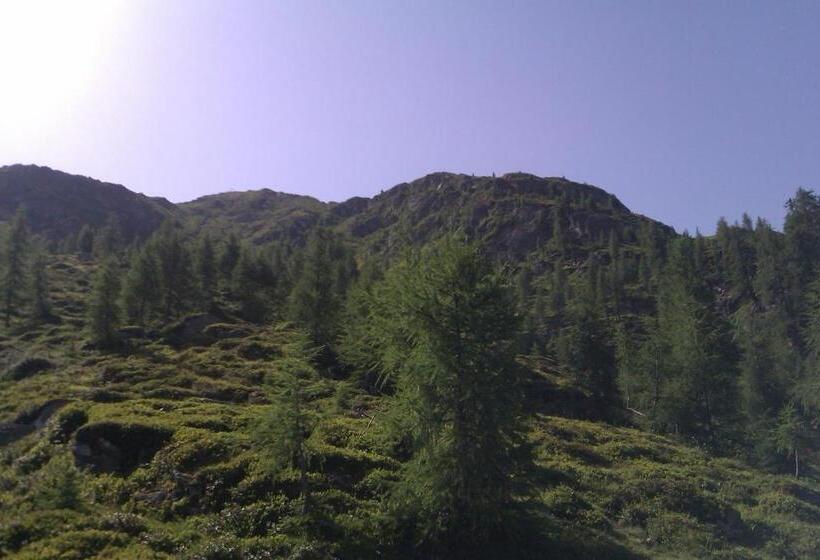 Apartmentshaus Dual   2