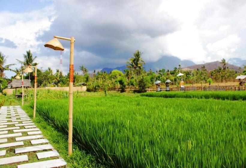 Отель Umma Bali Menjangan Retreat