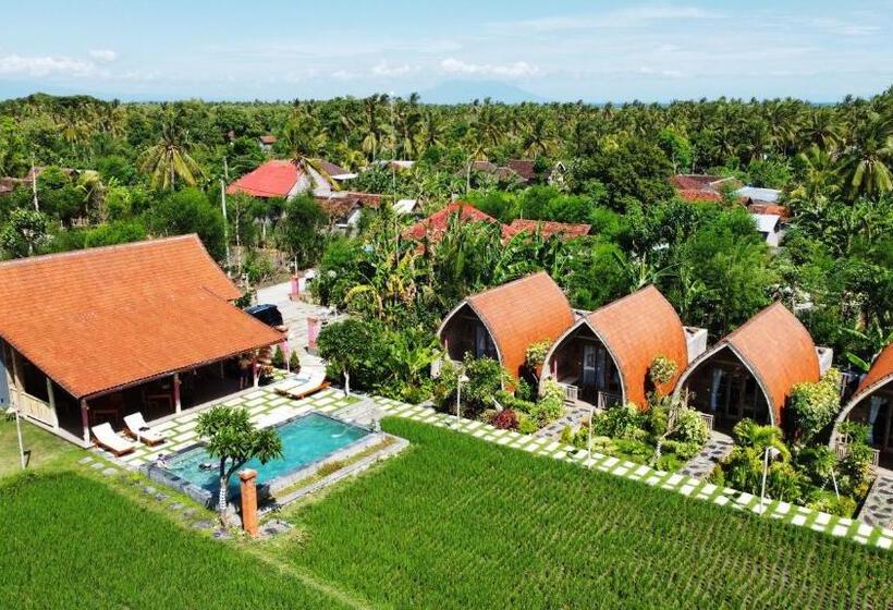 Отель Umma Bali Menjangan Retreat