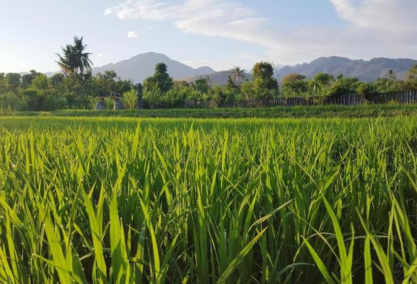 Отель Umma Bali Menjangan Retreat