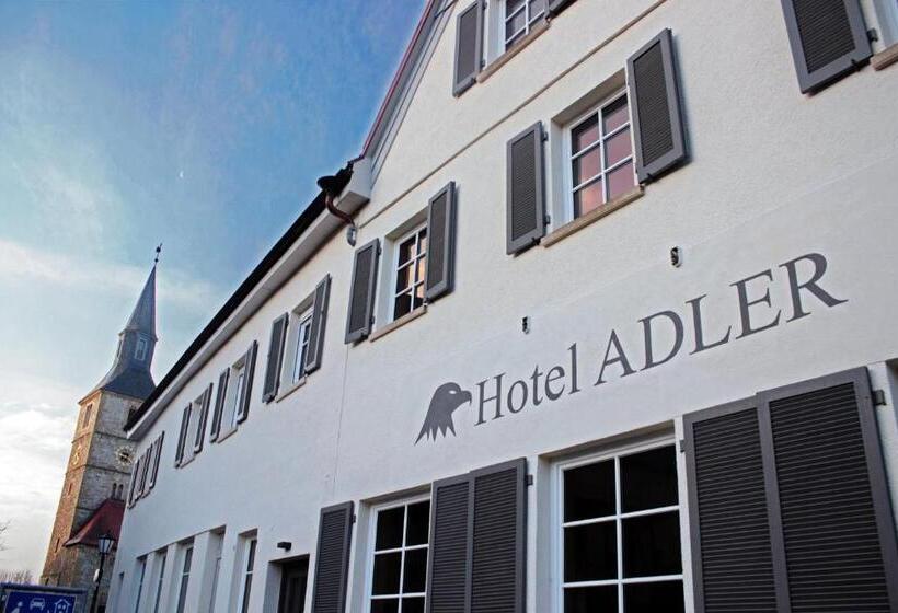 Отель Adler