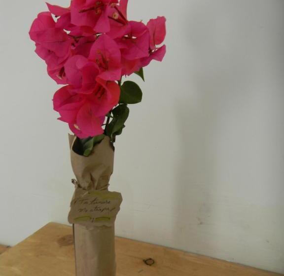 پانسیون Hostalnativo