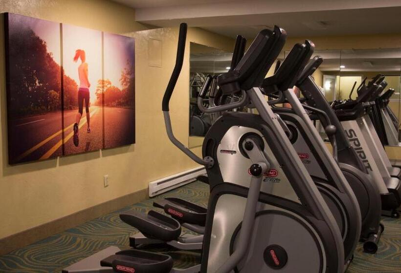 هتل Bayside Resort