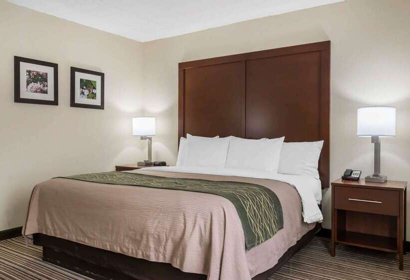 酒店 Comfort Inn  Pocono Mountains