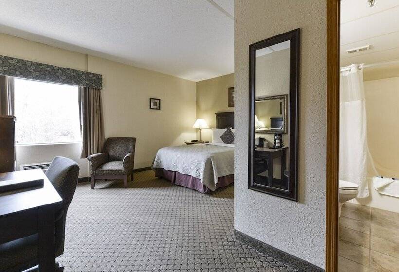 فندق Grand View Inn & Suites