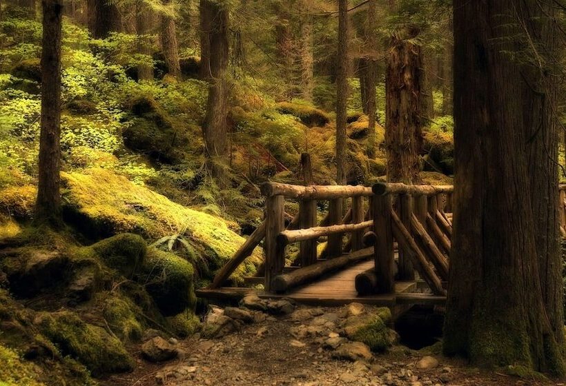 בית מלון כפרי Olympic Inn & Suites Port Angeles