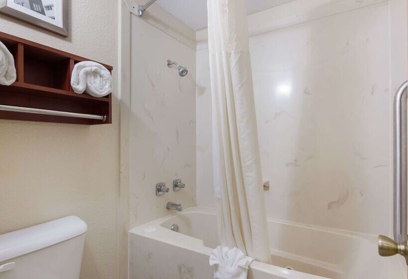 Отель Quality Inn Magnolia