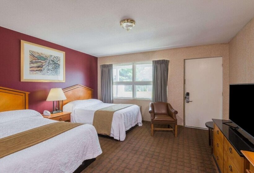 Мотель Elite Inn