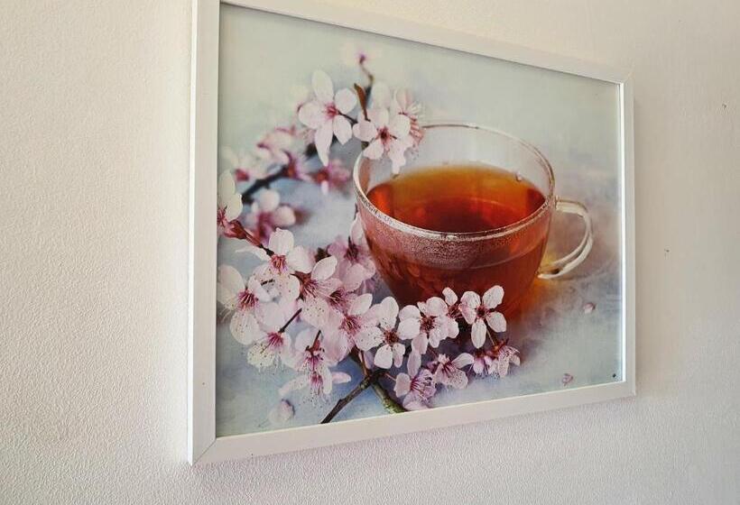 膳宿费 Birs Vendégház