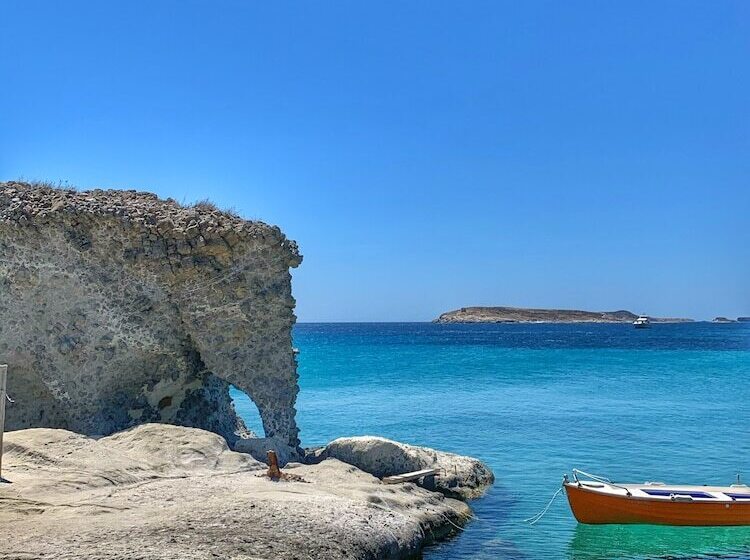 پانسیون The Elephant Goupa Beach