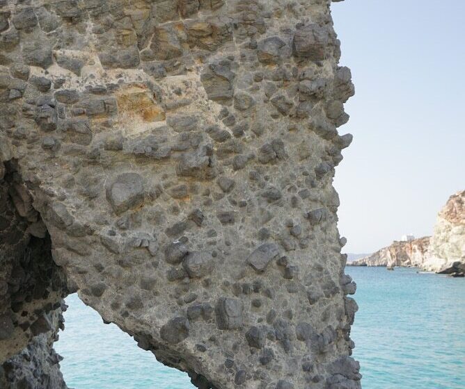پانسیون The Elephant Goupa Beach