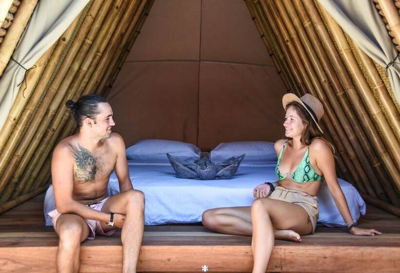 Mad Monkey Gili Trawangan   Hostel