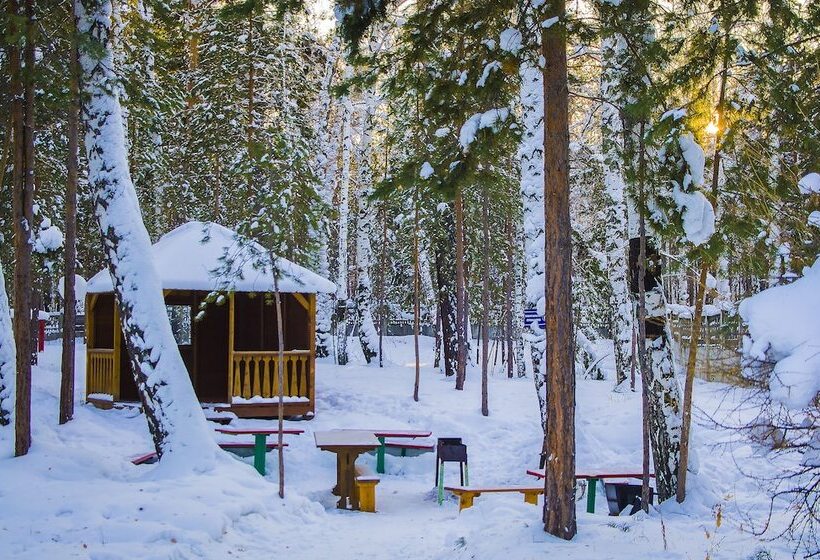 ホテル Zvezdny Park