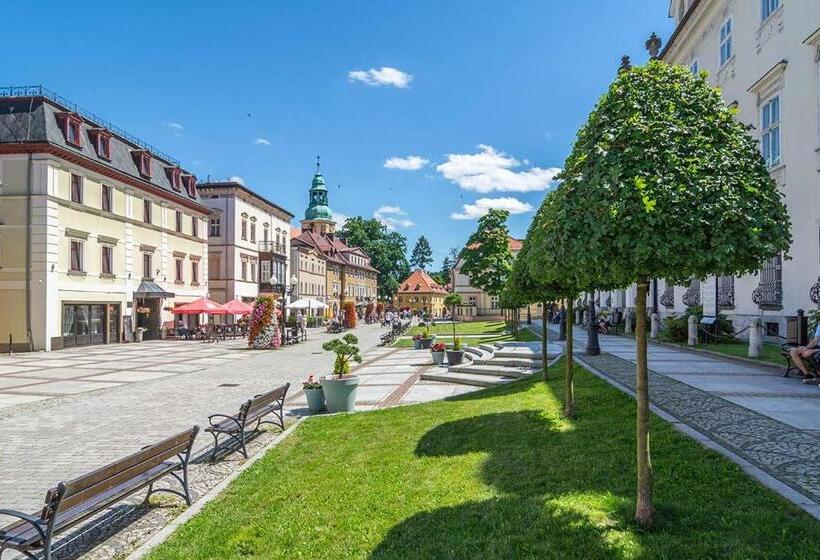 هتل Sp Zoz Sanatorium Uzdrowiskowe Mswia Agat