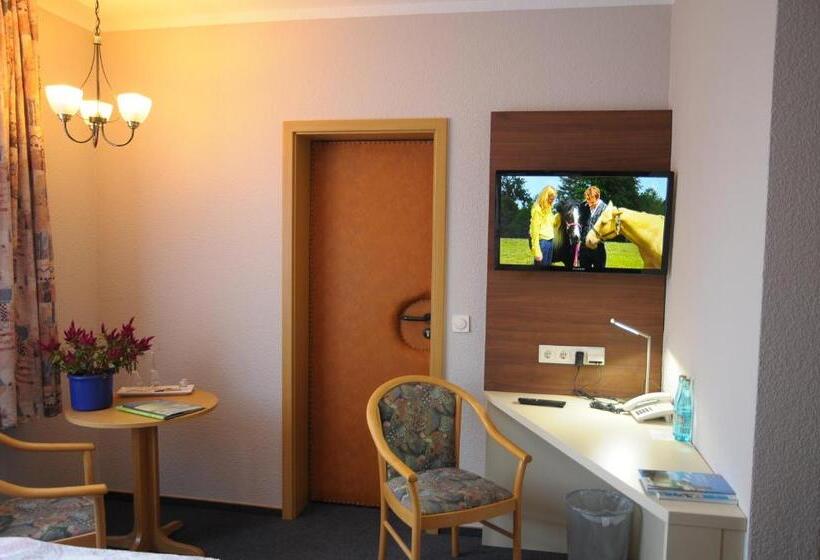 فندق Aktiv Pension