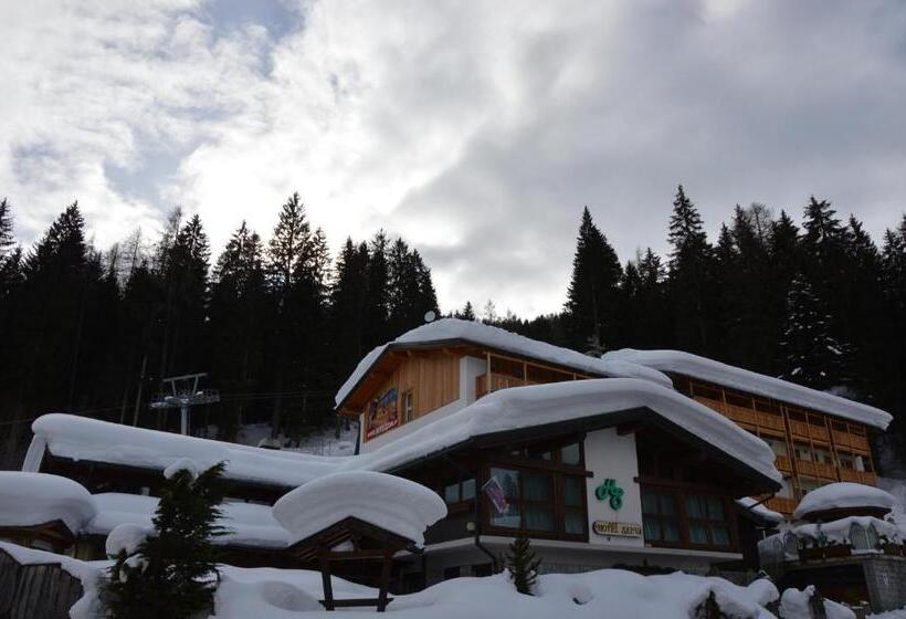 فندق Selva