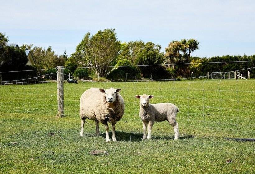 هتل Awatea Country Bed & Breakfast