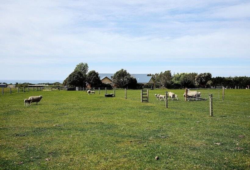 هتل Awatea Country Bed & Breakfast