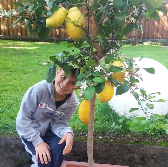 هتل Jasmin