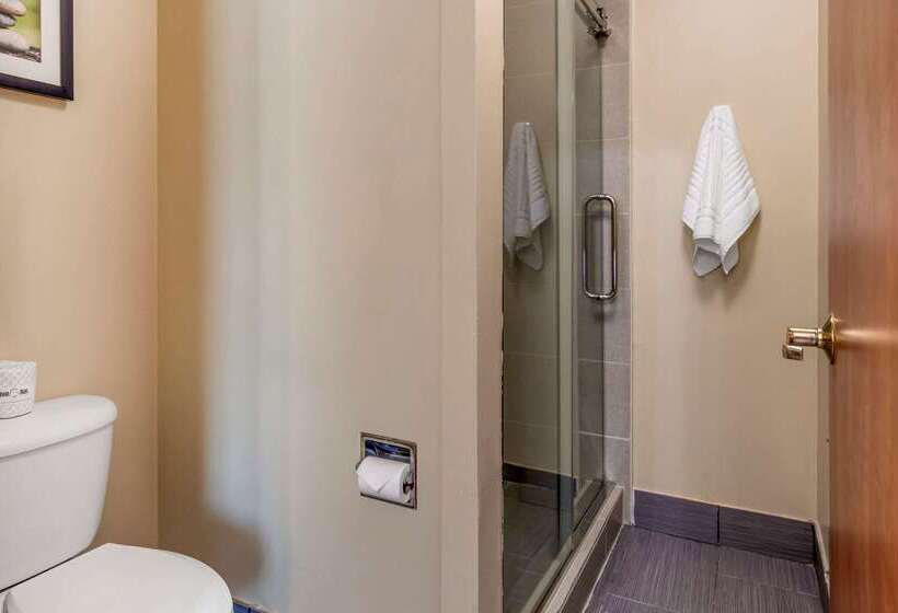 هتل Comfort Suites North Dallas