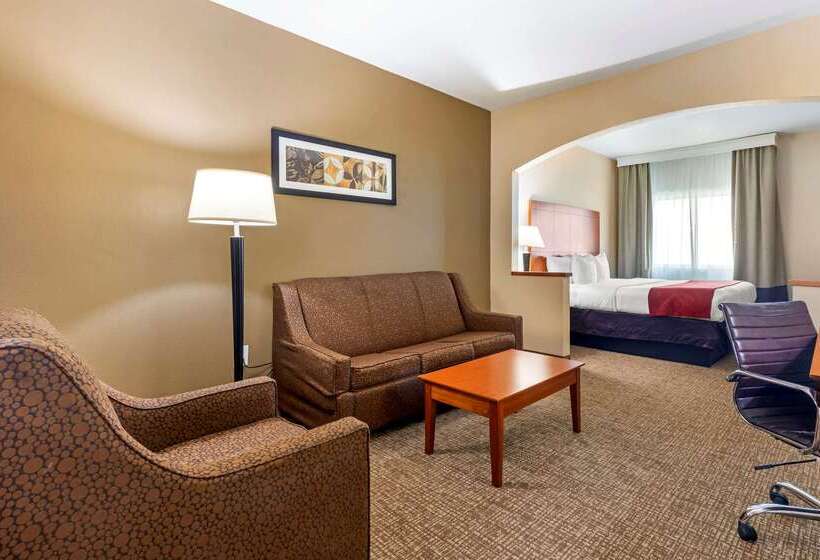 هتل Comfort Suites North Dallas