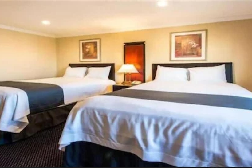 모텔 Queencity Inn